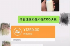 博爱为什么选择专业追讨公司来处理您的债务纠纷？